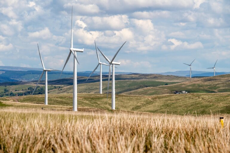 Windräder im Kornfeld